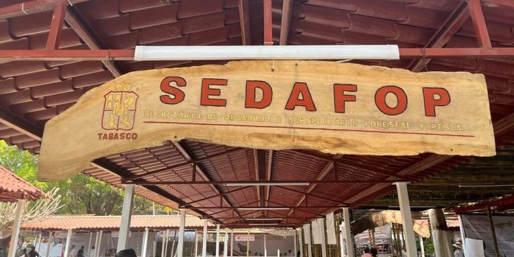 SEDAFOP reporta más de 24 mil solicitudes para programas agropecuarios y pesqueros en Tabasco