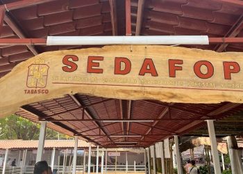 Sedafop recibe más de 18 mil solicitudes para programas de apoyo a la pesca y ganadería en Tabasco