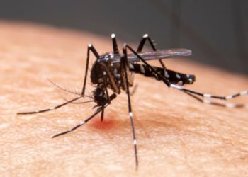 Aumentan casos de dengue en Nuevo León