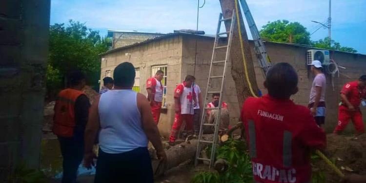 Hombre se desmaya mientras cortaba ramas de un árbol en Cárdenas