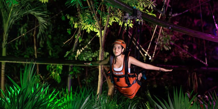 Suspenden temporalmente Xavage y Xenses Insomnia