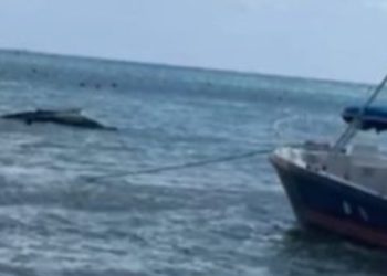 Se hunde embarcación en playa Coco Beach, Playa del Carmen