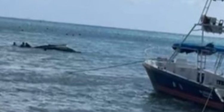 Se hunde embarcación en playa Coco Beach, Playa del Carmen