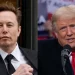 Donald Trump anuncia a Elon Musk para dirigir en la DOGE