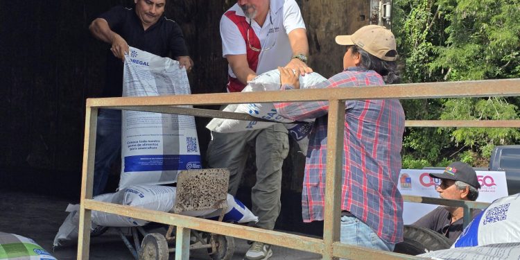 Invierte el gobierno humanista de la gobernadora Mara Lezama más de 6.6 mdp para el sector pesquero: SEDARPE