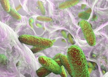 Suspenden empresa SAFE tras un trágico brote de la bacteria Klebsiella oxytoca