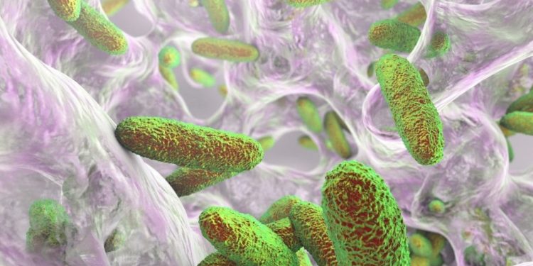 Suspenden empresa SAFE tras un trágico brote de la bacteria Klebsiella oxytoca