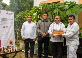 INMAYA fortalece el legado cultural con la preservación de la abeja nativa Xunan Kab