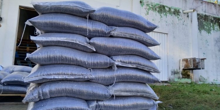 Entrega la SEDARPE 50 toneladas de frijol negro San Blas, para 7 municipios de Quintana Roo