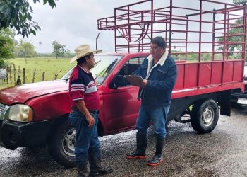 Sedafop verifica cumplimiento del Programa Crédito Ganadero a la Palabra en Comalcalco y Balancán