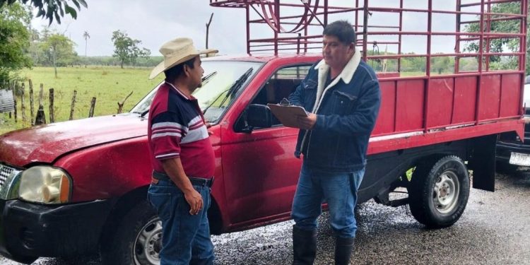 Sedafop verifica cumplimiento del Programa Crédito Ganadero a la Palabra en Comalcalco y Balancán