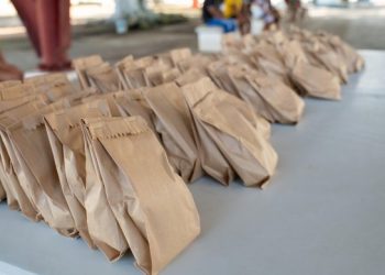 Con Semillas para el Bienestar se impulsa la soberanía alimentaria en comunidades indígenas: INMAYA