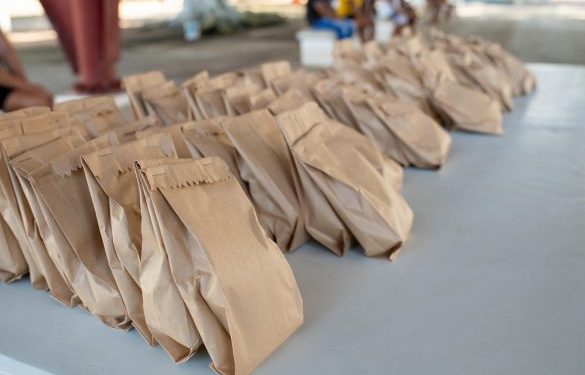 Con Semillas para el Bienestar se impulsa la soberanía alimentaria en comunidades indígenas: INMAYA