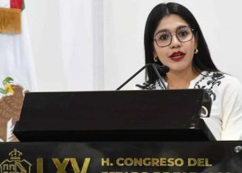 La ola de violencia persiste, pero hay avances: Diputada PVEM