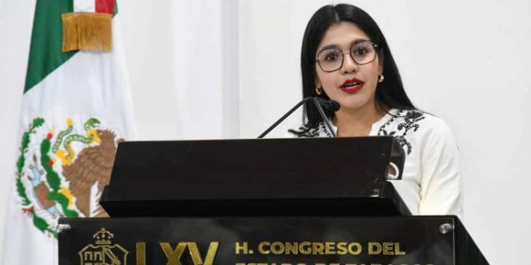La ola de violencia persiste, pero hay avances: Diputada PVEM