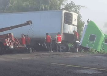 Accidente vehicular en El Espino afecta vivero de restaurante local