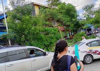 Cae árbol sobre camioneta en inmediaciones del mercado Pino Suárez