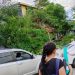 Cae árbol sobre camioneta en inmediaciones del mercado Pino Suárez