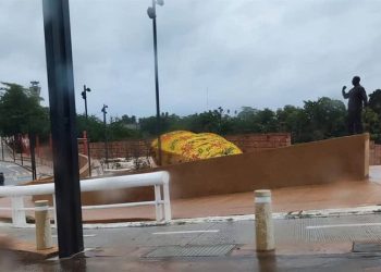 Lluvias del frente frío 14 provocan anegaciones y caída de árboles, incluido un árbol de Navidad en Villahermosa