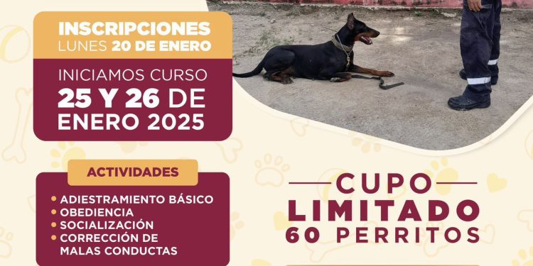 Impartirá bomberos de Cancún curso de adiestramiento básico canino 2025