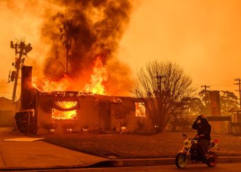 México enviará un equipo de combatientes forestales y elementos para apoyar en la lucha contra los incendios a Los Ángeles