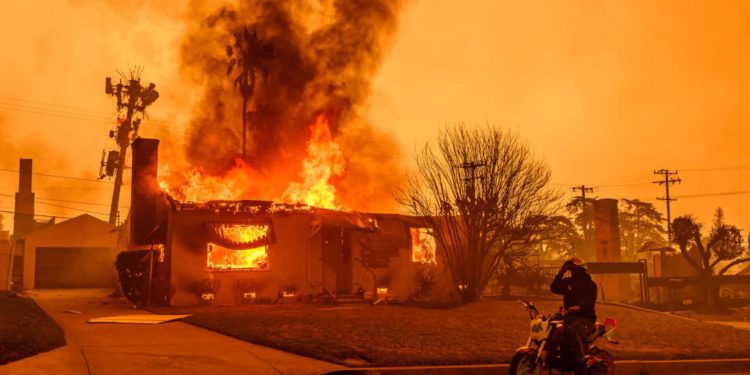 México enviará un equipo de combatientes forestales y elementos para apoyar en la lucha contra los incendios a Los Ángeles