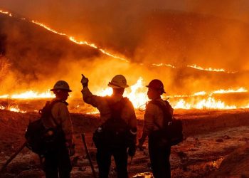 Advierten que una reducción de casi 18 millones de dólares en el presupuesto compromete la lucha contra incendios