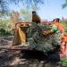 Inicia SEMADES campaña de reciclaje de pinos naturales; hay varias sedes