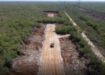 Federación expropia cuatro predios de Solidaridad por causa de «utilidad pública» y serán usados para el Tren Maya