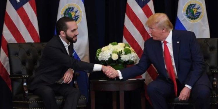 Nayib Bukele, ofreció la colaboración de su país para contribuir a la reducción de la tasa de homicidios en EU
