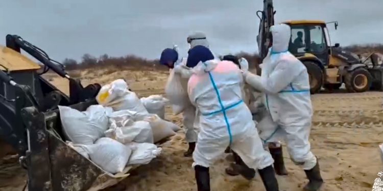 Tras derrame de petrólero en las costas de Sebastopol, Rusia declara zona de emergencia