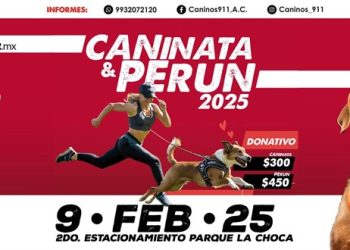 Caninos 911 anuncia la 5ª Caninata 2025 «Por un Tabasco libre de crueldad animal»