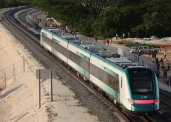 Supervisarán e indentificarán impacto ambiental del Tren Maya
