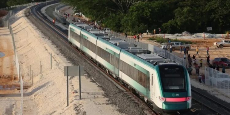 Supervisarán e indentificarán impacto ambiental del Tren Maya