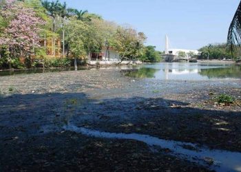 Ambientalista pide acciones para evitar nuevo azolvamiento en Laguna de Las Ilusiones