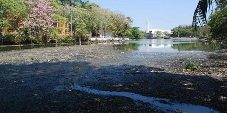 Ambientalista pide acciones para evitar nuevo azolvamiento en Laguna de Las Ilusiones