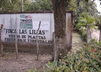 Finca ‘Las Lilias’ se reintegra a la producción agropecuaria y de reforestación en Teapa