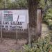 Finca ‘Las Lilias’ se reintegra a la producción agropecuaria y de reforestación en Teapa