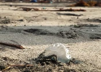 Alerta en Paraíso por la presencia de agua mala en sus playas