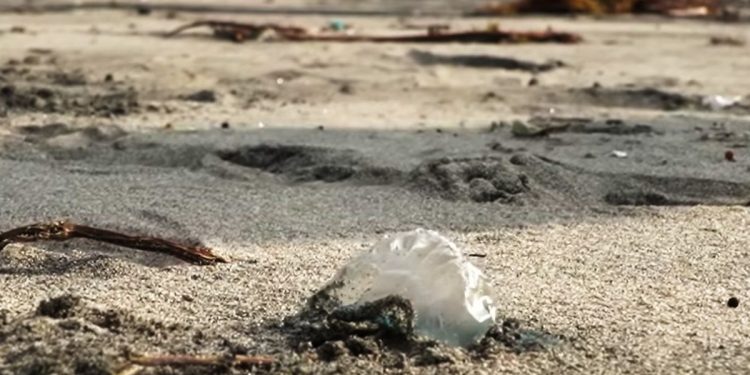 Alerta en Paraíso por la presencia de agua mala en sus playas