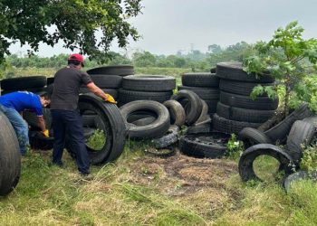 Eliminan más de 50 toneladas de llantas en 6 municipios durante campaña de prevención del dengue