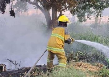 Regularización de bomberos y ajustes administrativos en Protección Civil: Gobernador