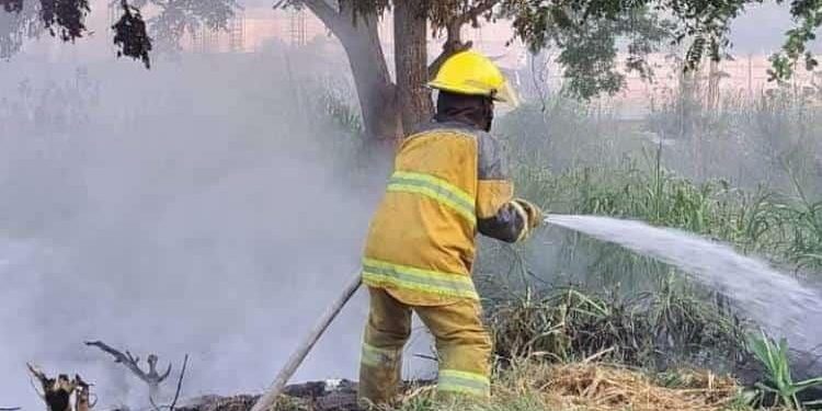 Regularización de bomberos y ajustes administrativos en Protección Civil: Gobernador