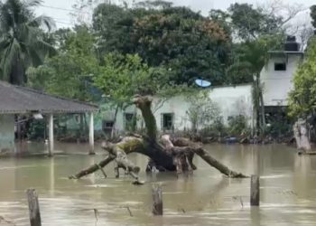 Evacúan cinco viviendas en Teapa por desbordamiento del río Pichucalco