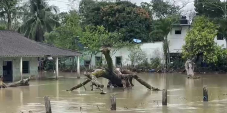 Evacúan cinco viviendas en Teapa por desbordamiento del río Pichucalco