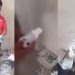 Denuncian bodega con medicamentos caducados en el CESSA de Centla
