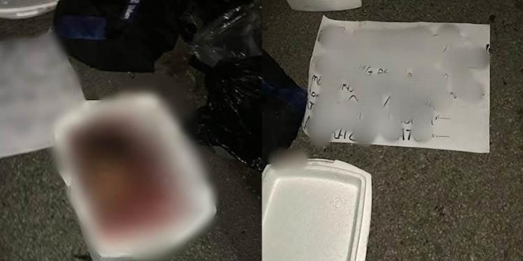 Hallan cabeza humana en hielera con mensaje de amenaza en Boquerón, Centro