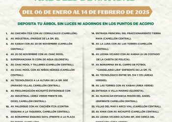 Última semanas para desechar árboles de navidad