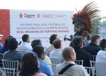 Logran en Cancún liberación de más de 950 mil tortugas marinas en 2024