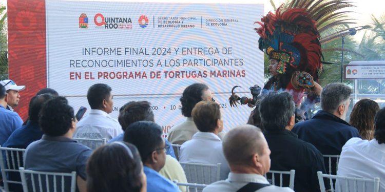 Logran en Cancún liberación de más de 950 mil tortugas marinas en 2024